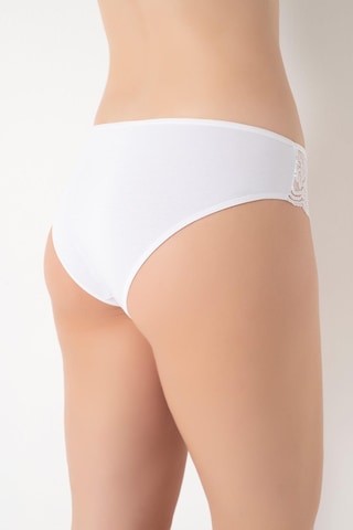 Kadın Dantelli 4'lü Karışık Renk Külot Asorti-1 C3t0n0o408 001