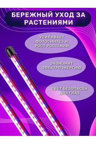 Miland Bitkiler Ve Fideler İçin Fitoluk 205302402 Violet