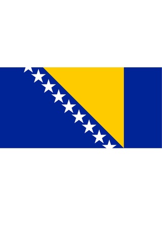 Bosna Hersek Ülke Bayrağı 45x22cm Duvar Tablosu Çerçevesiz Pvc Tablo