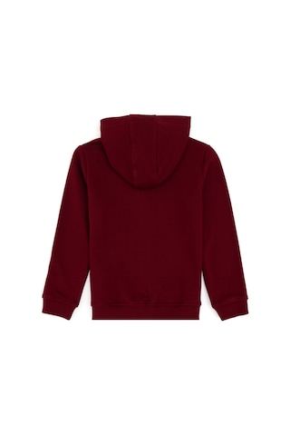 U.S. Polo Assn. Erkek Çocuk Bordo Basic Fermuarlı Sweatshirt 50289144-VR014