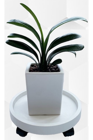 Tenfowee Plastik Dairesel Süs Bitki Tepsisi, 30mm Cam Gövde Tekerlekli, Su Toplama Kutusuyla, Balkon İçin Taşınabilir Taban