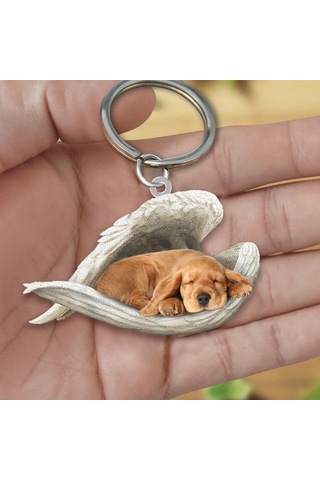 Hfambition Akrilik Köpek Figürlü Anahtar Zinciri, Çift Taraflı Uv Baskılı, Araba Ve Ev Anahtarı Asısı, Dayanıklı Materyal, Günlük Kullanım Diğer