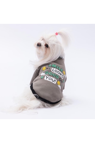 Füme Loviisa Sweat Kedi Köpek Sweat- Kedi Köpek Kıyafeti