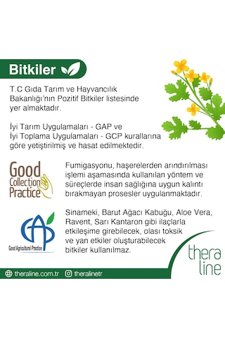 Theraline Easy&Digest 20 Li Çay