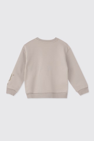 Panço Erkek Bebek Yumuşak Dokulu Taş Sweatshirt Gri