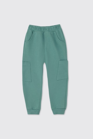 Panço Erkek Çocuk Yeşil Eşofman Altı 2611bk01001