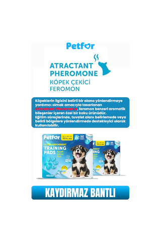 Köpek Eğitim Pedi 60x90 Kaydırmaz Bantlı 180 Adet