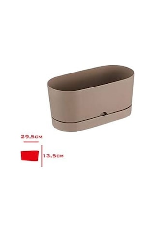 Polıwork Saksı Balkon Begonya 30 Cm Krem