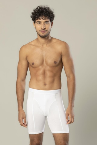 Erdem Beyaz Pamuk Elastan Uzun Boxer 1416 Beyaz