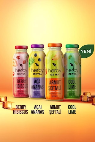 Ice Tea Soğuk Çay Şeker İlavesiz Karışık Deneme Seti 12 x 250 ML