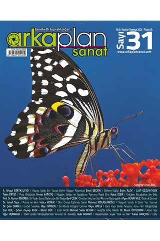 Arka Plan Sanat Cilt 6
