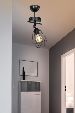 Ekinoks Avize ( 3 Farklı Model)