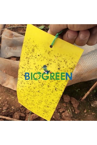 10 Cm X 25 Cm Sarı Yapışkan Kart Tuzak