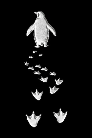 Vexor Erkek T-shirt Nihilist Penguen Baskılı Bisiklet Yaka Kısa Kol Yazlık Tişört - Siyah Çok Renkli