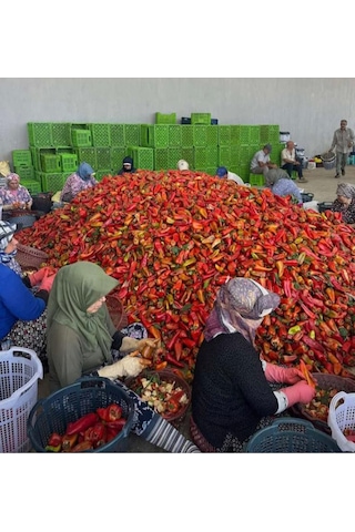 Biber Salçası %100 Doğal Katkısız Ev Yapımı Güneşte Kurutulmuş Salça