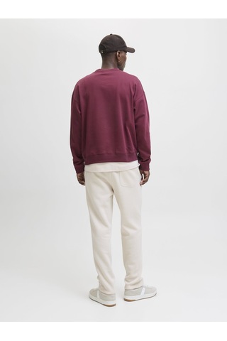 Jack & Jones Jpstkane Bradley Uncuffed Eşofman Altı 12279134 Bej