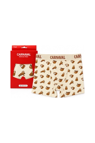 Carnaval Socks Tembel Hayvan Desenli Erkek Boxer Pamuklu Likralı Parlak Lastikli Kutulu Krem Çoklu