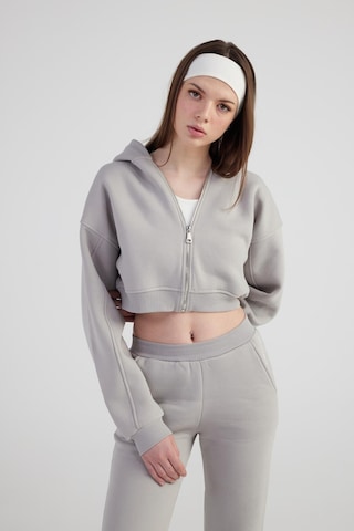 Holly Lolly Kadın Gri Kapüşonlu Uzun Kol Fermuarlı Crop Mixed Sweat