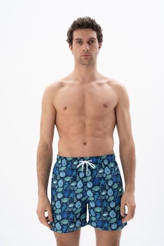 Arma Erkek Regular Fit Çok Renkli Mayo Deniz Şortu 001