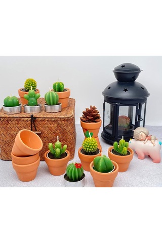 12 Adet Kaktüs Tealight Mumlar Gelin Partisi Hediyeleri Boho Meksika Parti Dekorasyonları Sukulent Mum Mini Çay Işı Çok Renkli