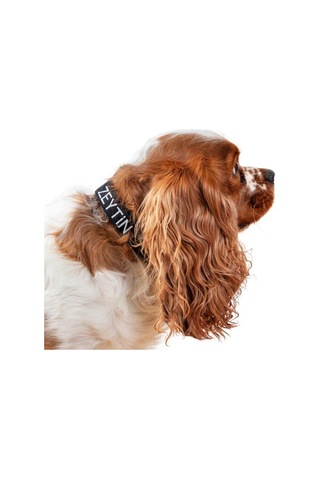 Kişiye Özel İsimli Air Mesh Göğüs Tasması Ve İsimli Köpek Tasması I 2'li Set I Küçük Ve Orta Irk Köpekler