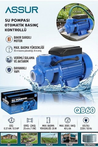 Assur Qb60 35m Basınç Yüksekliği 1 Hp Bakır Sargı Elektrikli Santrifüj Pompa Su Motoru-3153
