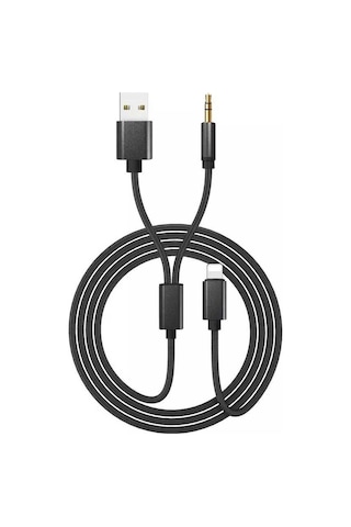 Go Des GAC-306 2 in 1 Aux Kablo Lightning to 3.5 mm & USB Ses Kablousu - ZORE-220419