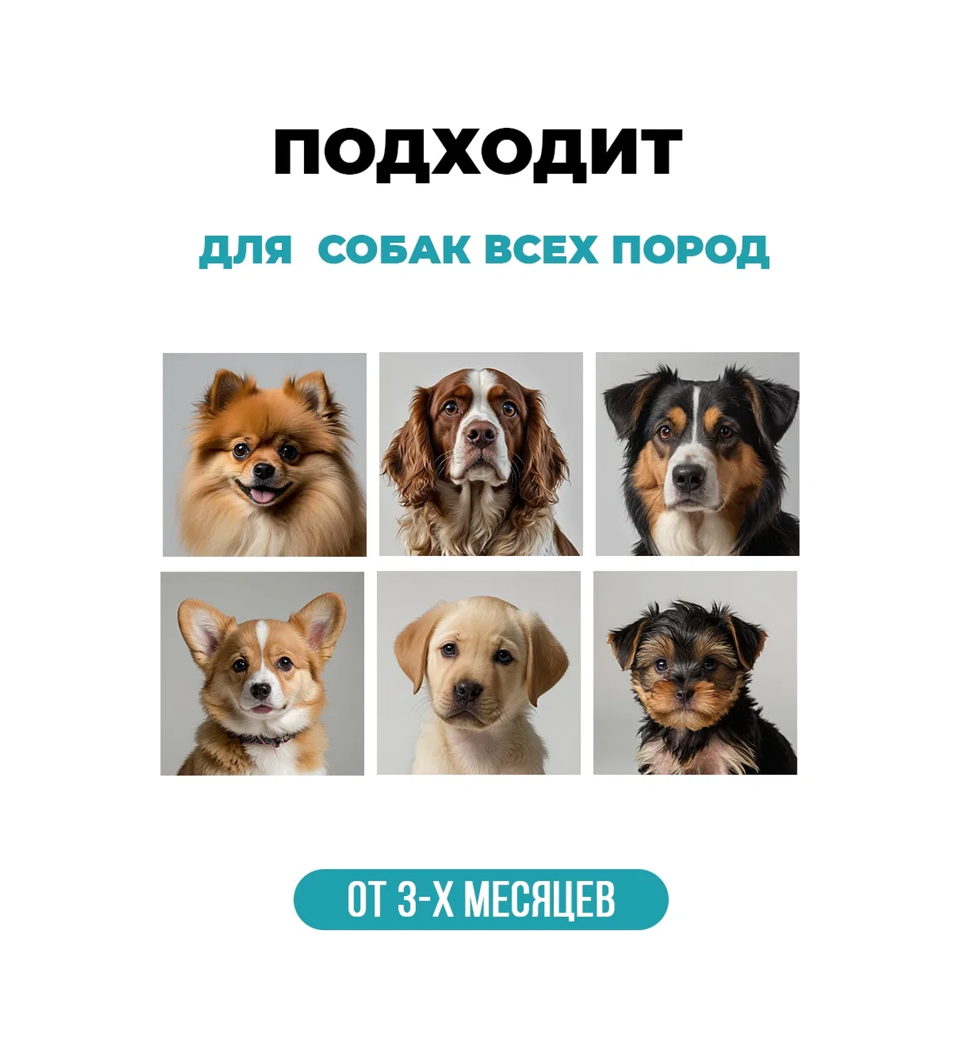 Spets Köpekler İçin Koku Giderici Şampuan 1 Litre 404200811