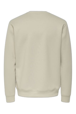 Only & Sons Onsluca Lıfe Reg Ls Crew Gri Erkek Sweatshirt 22035201