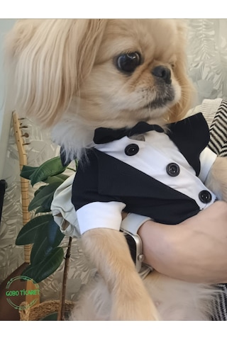 Gobo Papyonlu Smokin Damatlık Kedi Köpek Giyim Takım Elbise