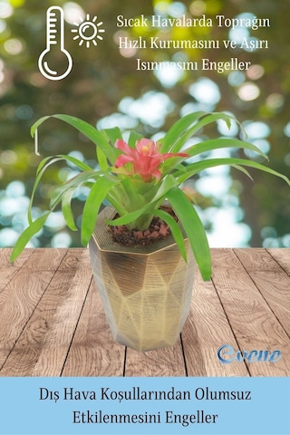 Saksı Çiçek Kaktüs Saksısı Lüx 15 Cm Poly Desen Saksı Çiçeklik - Altın Eskitme