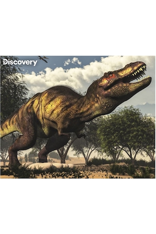 Prime 3d Discovery Tyrannosaurus Rex Puzzle 63 Parça 20925