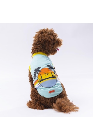 Pawstar Mint Sunrise Kedi Köpek Tişörtü Kedi Köpek Kıyafeti