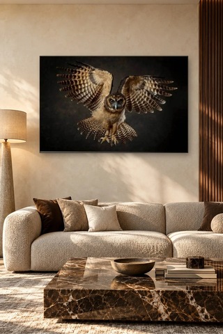 Fida Karanlıkta Kanat Açan Baykuş Canvas Tablo Çok Renkli