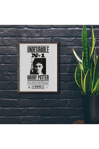 Wizarding World - Harry Potter Poster - Undesirable No 1, Harry P