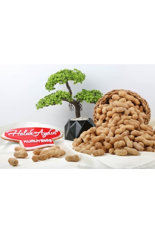 Haluk Aydın Kuruyemiş Kabuklu Tuzlu Fıstık 1 KG