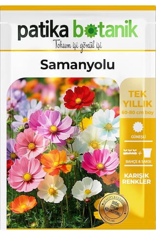 Patika Botanik 30 Adet Samanyolu Cosmos L. Çiçek Tohumu