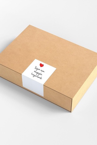 Lexroo Paketlemeye Özel 8 Çeşit Sticker Seti, 560 Adet 16 Sayfa Çok Renkli