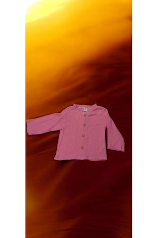 Bebek Pantolon Gömlek Takım Erkek renkli Çok Renkli