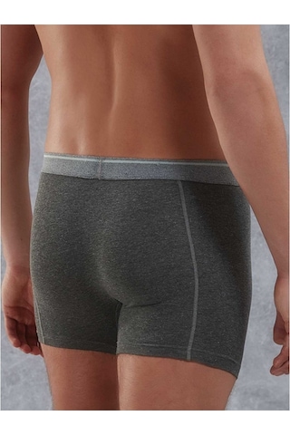 Doreanse Erkek Modal Antrasit Torbalı Normal Paça Boxer 1756