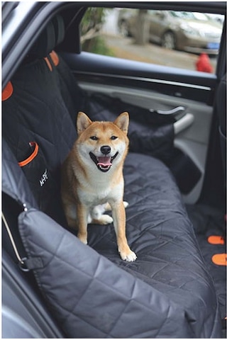 M-pets Lungo Köpekler İçin Araç Koruma Örtüsü Siyah 152x59 Cm 244-57001.01