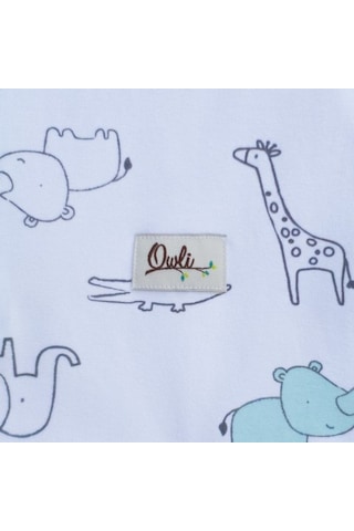 Owli Uyku Gurusu 0.3 Tog Zoo Zoo Mint Yeşili-0-36 Ay Mint Yeşili-0-36 Ay Çok Renkli