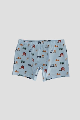 Defne Baby Erkek Çocuk Premium Pamuklu Çiftlik Desenli Penye Atlet & Boxer Takımı Beyaz