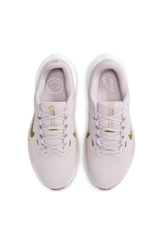 Nike Air Winflo 10 Dv4023-010 Pudra Kadın Spor Ayakkabı 001