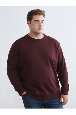 Lcw Vision Bordo Bisiklet Yaka Erkek Kalın Sweatshirt