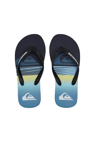 Quiksilver Molokaı Art Youth Renkli Renkli Çok Renkli