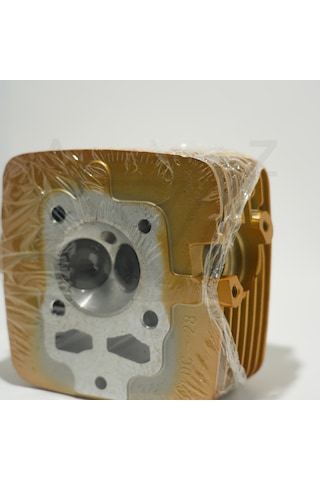 Cg 200 Üst Kapak Gold Çita 001