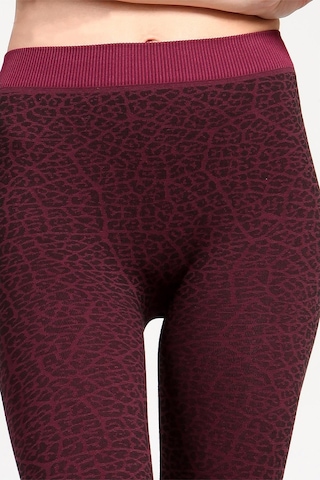 Doremi Calla Seamless Tayt