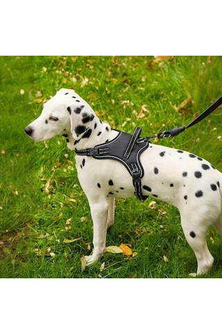 Maxaccess Yumuşak Pedli, Burkulmaya Dayanıklı, Ayarlanabilir Reflektif Köyeği Ysk L Sarı Desen