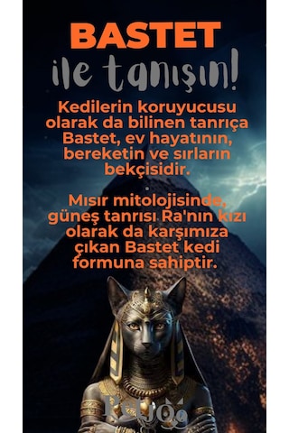 Petjoo 1.Bastet Gri-Turuncu Qr'lı Kedi Künyesi